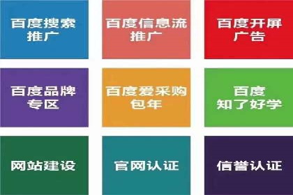 百度SEO推广策略深度解读：某企业网络营销的胜利之路